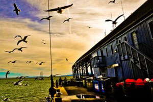 让管理更轻松的免费ddos压力测试平台